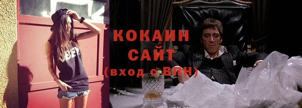 гидропоника Гусь-Хрустальный
