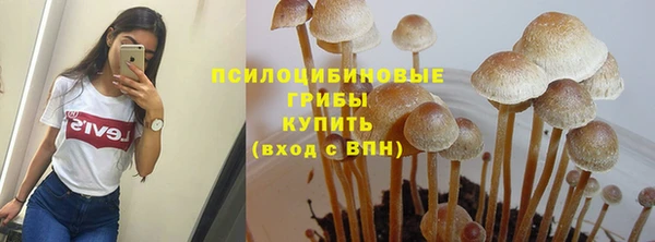 гидропоника Гусь-Хрустальный