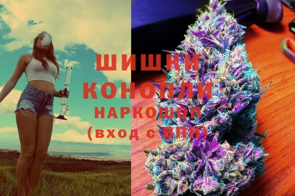 гидропоника Гусь-Хрустальный