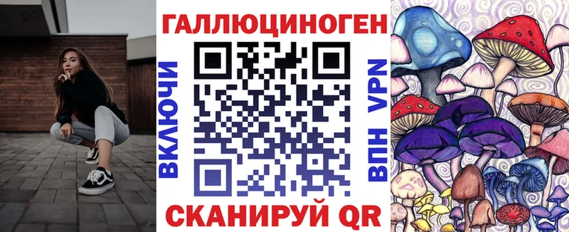 Псилоцибиновые грибы Psilocybe Дальнереченск