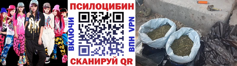 Псилоцибиновые грибы Psilocybine cubensis  гидра tor  Дальнереченск 